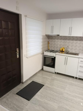 apartament de lux